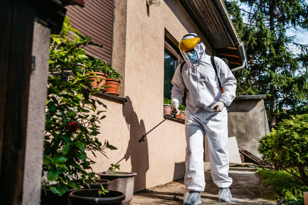 Best Mosquito Control Services  in Medina, NY