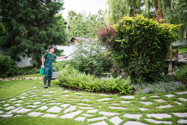 Best Pest Control for Homes  in Medina, NY