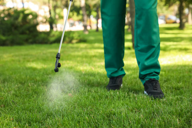 Best Pest Control for Businesses  in Medina, NY