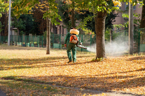 Best Pest Prevention Services  in Medina, NY